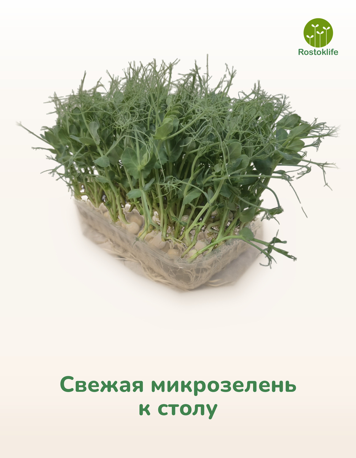 Результат: свежая микрозелень к столу