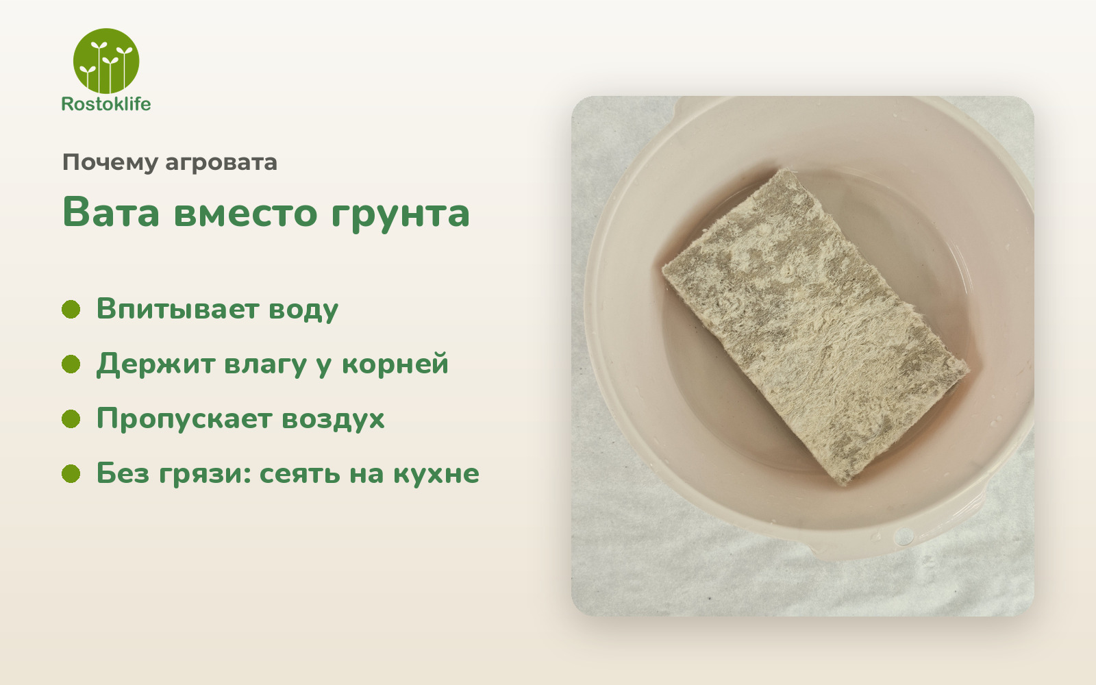Агровата вместо грунта: без грязи, впитывает воду и пропускает воздух