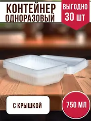 Контейнеры одноразовые пластиковые с крышкой 750 мл, 30 ШТ