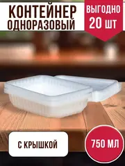 Контейнеры одноразовые пластиковые с крышкой 750 мл, 20 ШТ