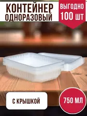 Контейнеры одноразовые пластиковые с крышкой 750 мл, 100 ШТ